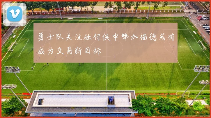 勇士队关注独行侠中锋加福德或将成为交易新目标