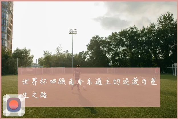 世界杯回顾南非东道主的逆袭与重生之路