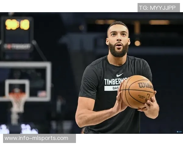 芬奇强调对戈贝尔一视同仁不会为其设定特殊比赛规则